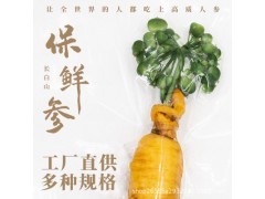 現代農業產業鏈全景圖 從田間到餐桌的多元生態